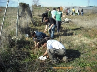 Un momento de la plantacin