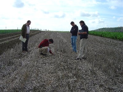 La agricultura andaluza se ala con Kioto