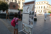 La muestra se expuso en la Plaza de las Tendillas hasta el 16 de octubre