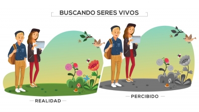 Un estudio profundiza en la “ceguera” humana para ver las plantas