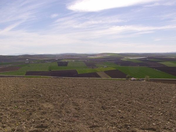 La Campiña cordobesa descubre su historia bajomedieval gracias a los resultados científicos de un estudio de la UCO