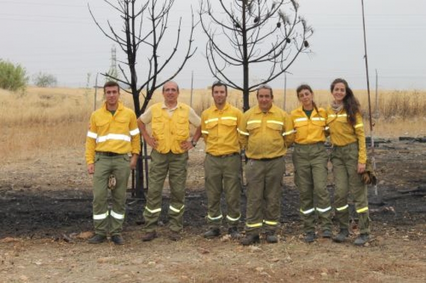 Tuya y aligustre ayudan a reducir la virulencia de los incendios forestales en áreas semipobladas