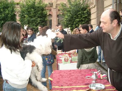 Bendicin de mascotas en Rabanales