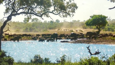 La UCO mapeará la sequía y la producción de biomasa en la sabana africana