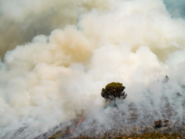 A moment during the controlled burning. Fotography of Elisa Vega Martínez