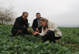 Main researcher Antonio Sánchez together with proffesors Vidal Barrón and María del Carmen del Campillo